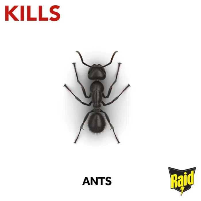 Insekticídna nástraha na likvidáciu kolónie mravcov Raid® Ant Bait Station 1ks