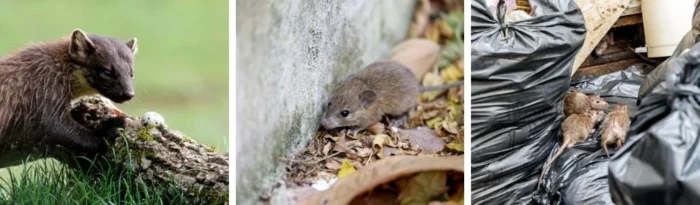 Vodotesný, ultrazvukový odpudzovač na kuny, myši a potkany VIANO OD12